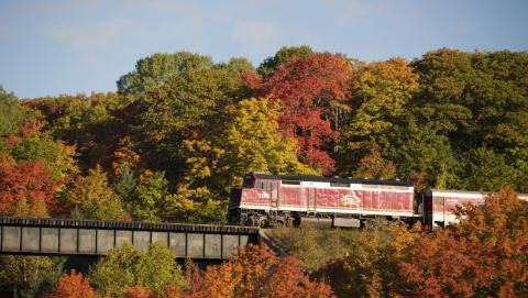 Image of Train going out of fall forest 