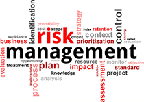 Risk management