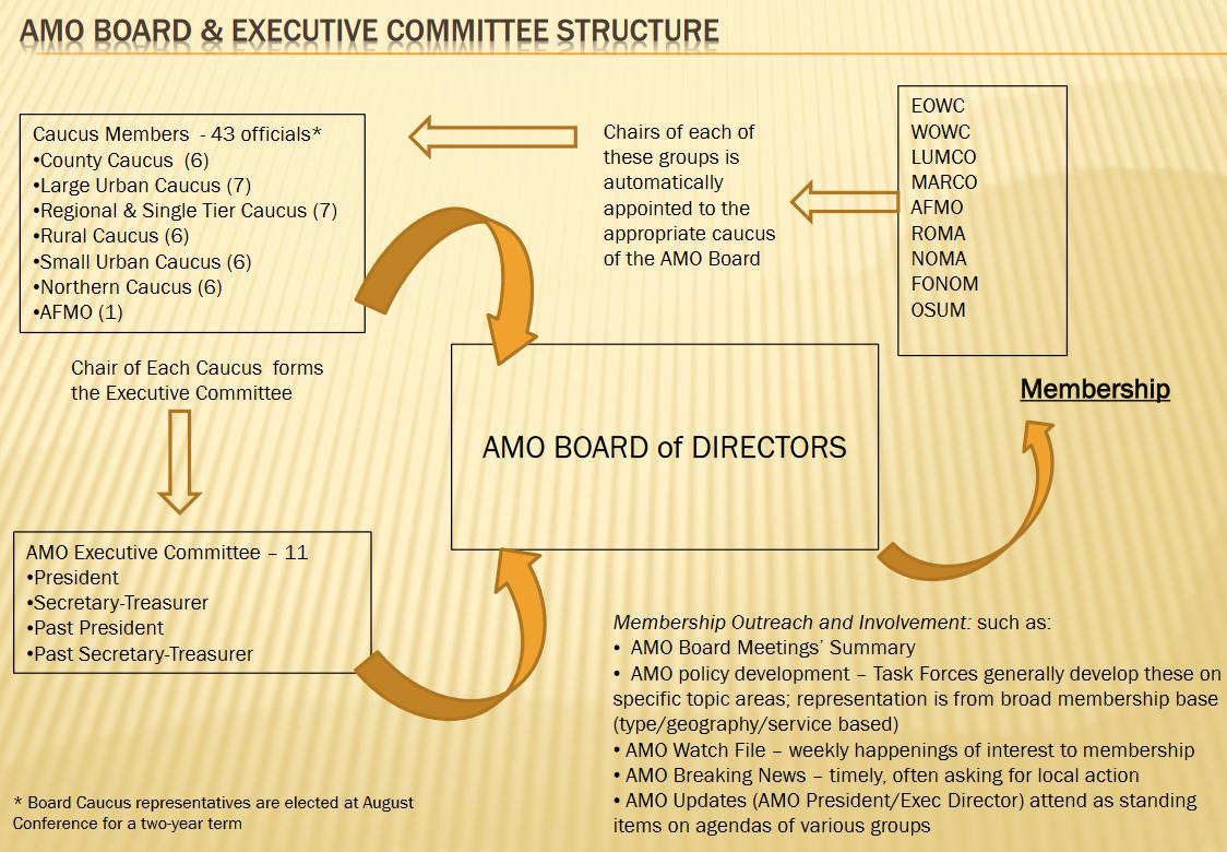 AMO Board and Executive Structure