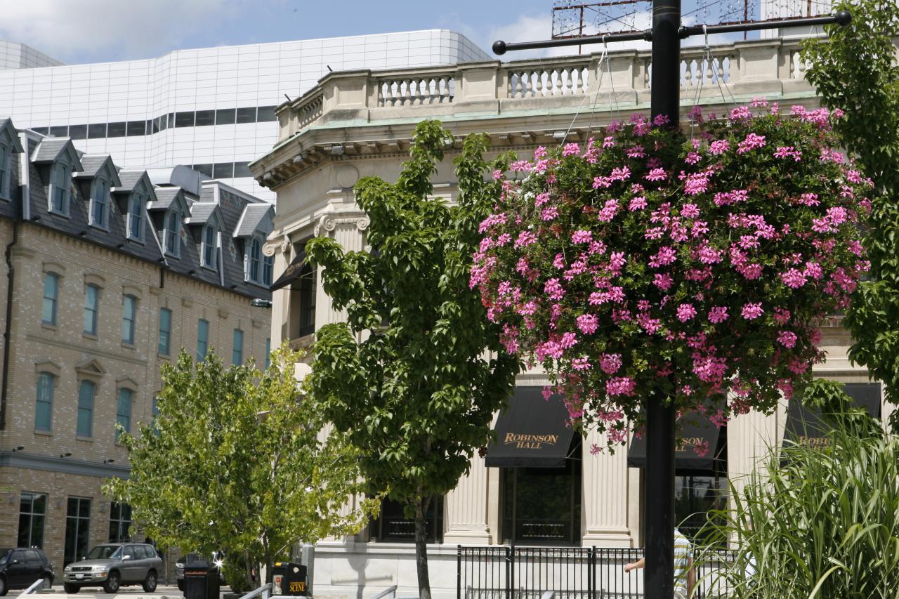 Image of City of London downtown. Image from City of Londonc