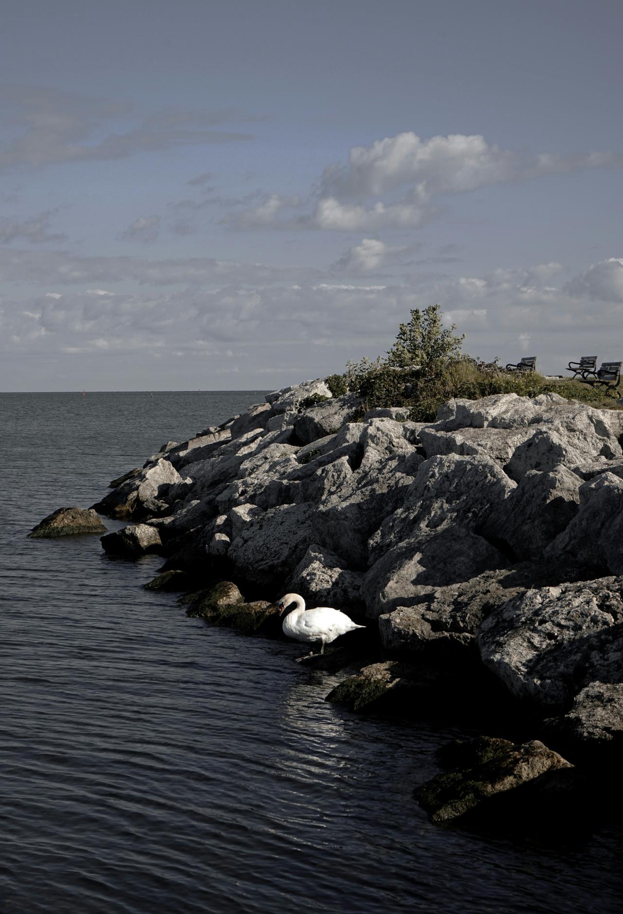 Image of a Stone Island in Barrie courtesy of Sofia Velgosh on Unsplash