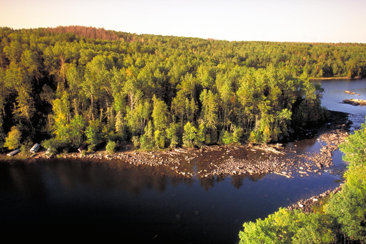 Ontario Image of Lake and Forrest © 2021 Ontario Tourism Marketing Partnership Corporation