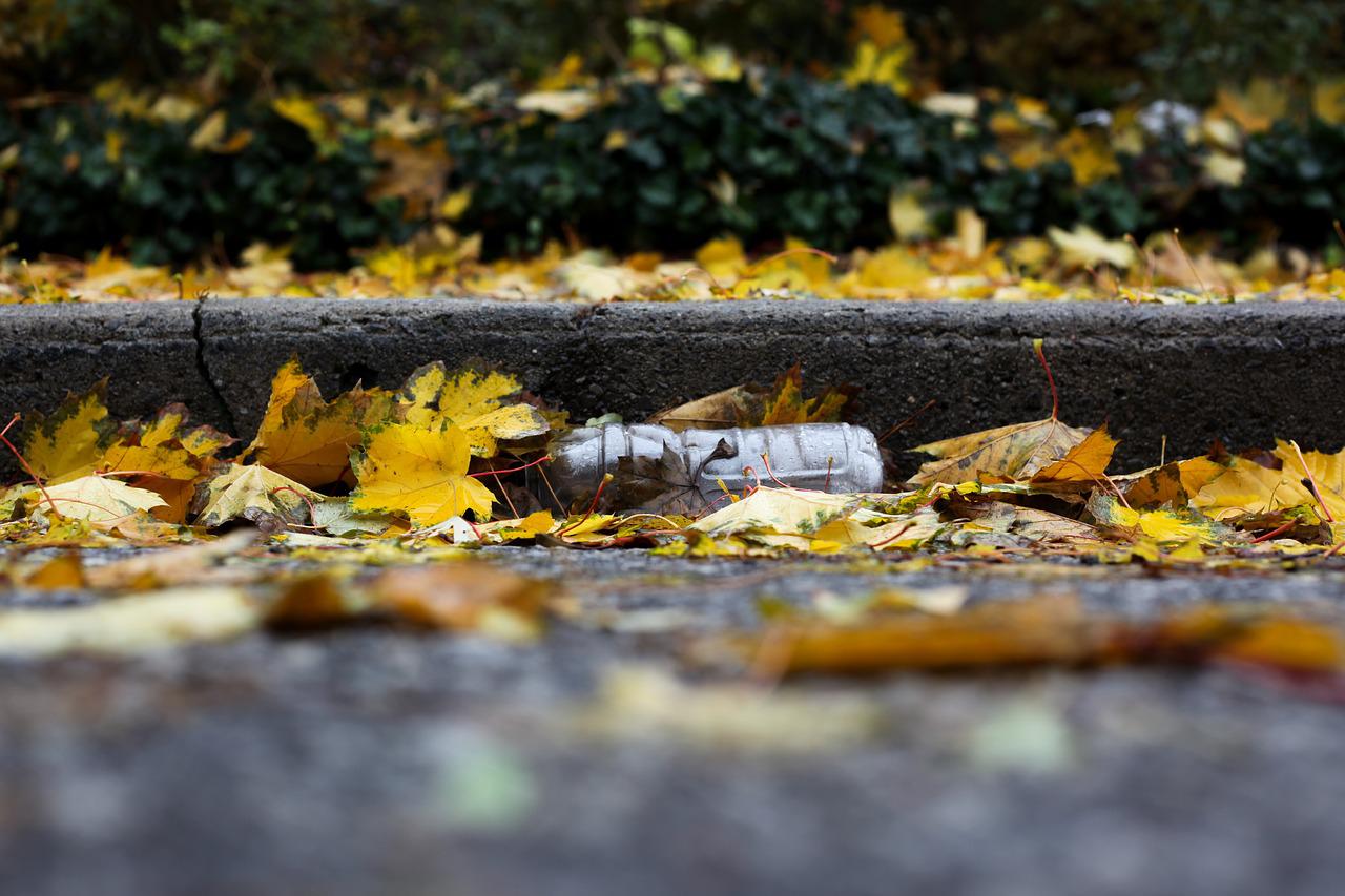 Image of water bottle by curb