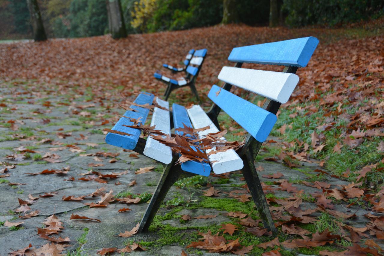image of empty park bench