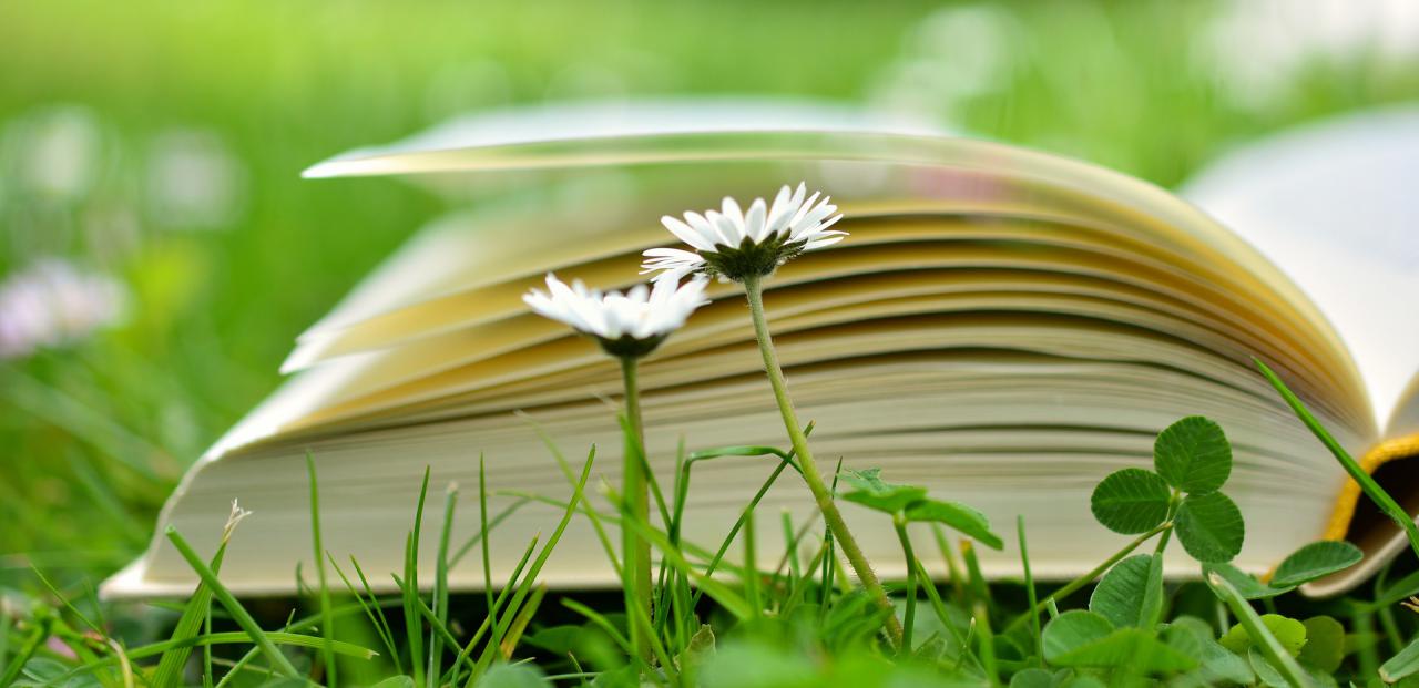 Image of book from Pixabay