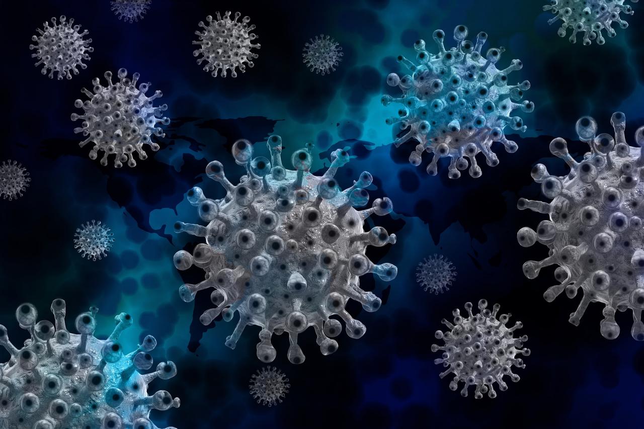 Image of COVID-19 virus from Pixabay