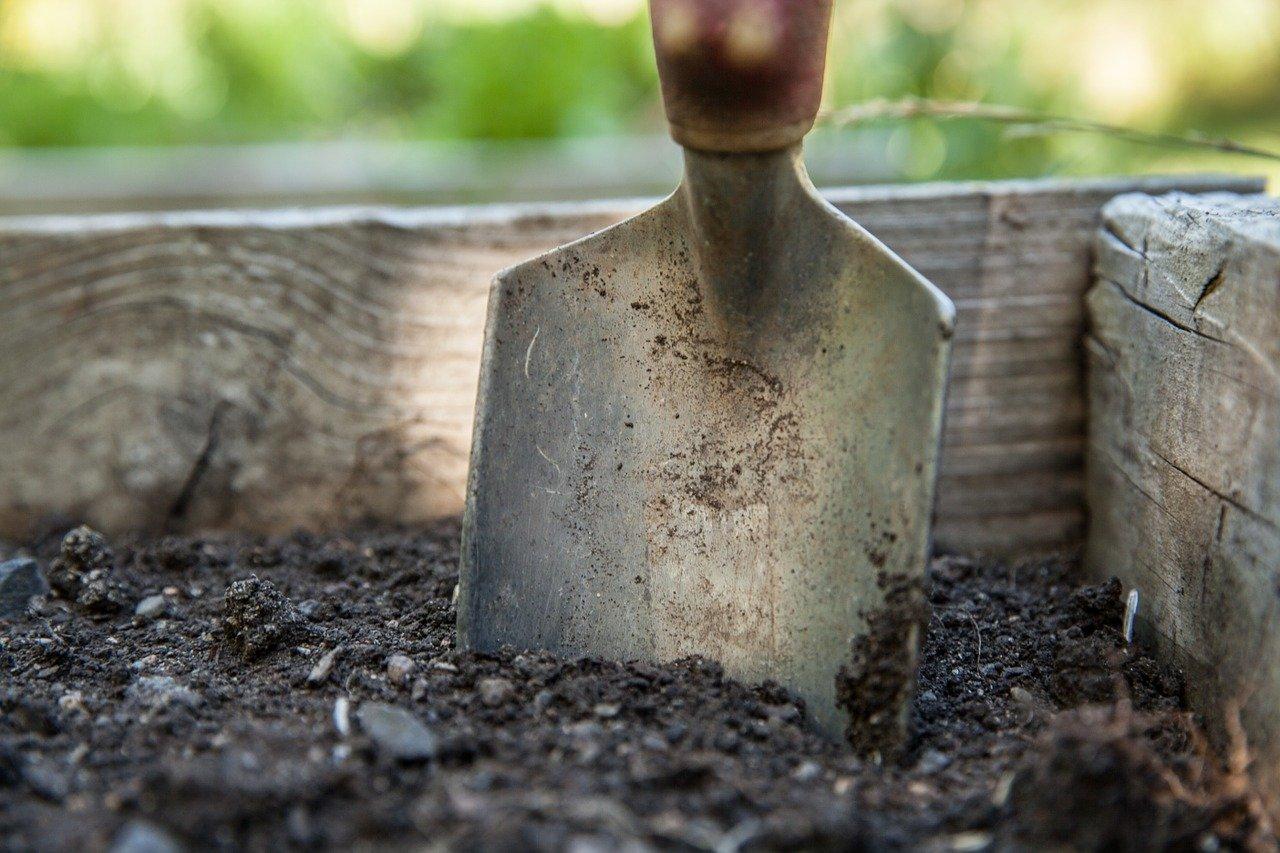 image of a shovel in the dirt