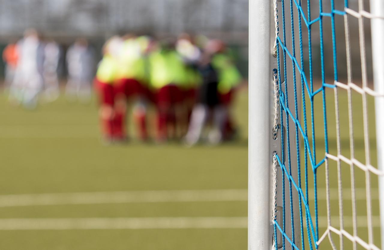 Image of goal post by picselweb from Pixabay