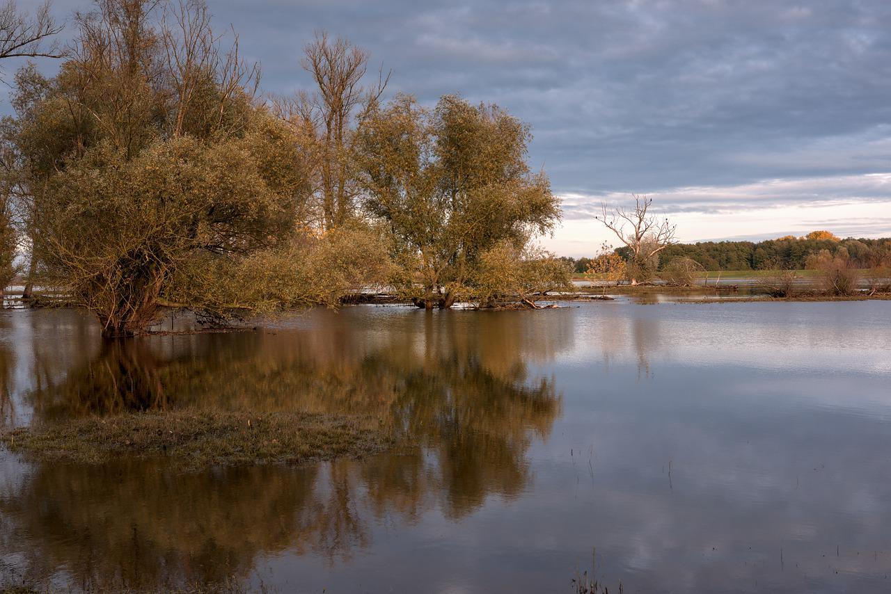 Image of river by Peggy Choucair from Pixabay