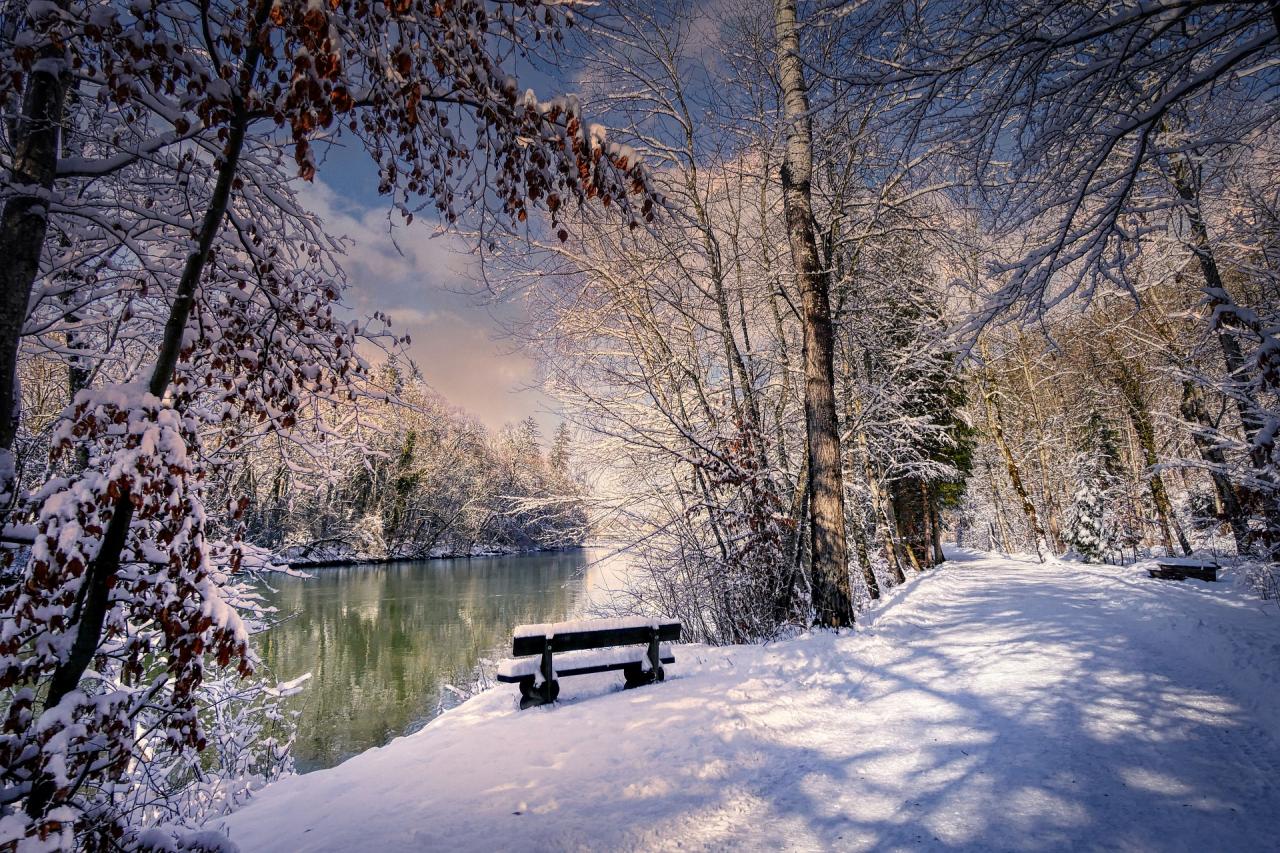 Winter park scenery from pixabay