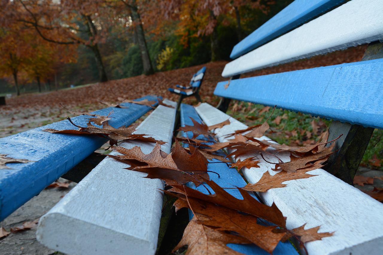 Image of bench from Pixabay