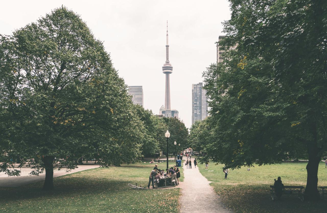 Image of the CN tower from a park in Toronto courtesy of Scott Webb through Pixabay