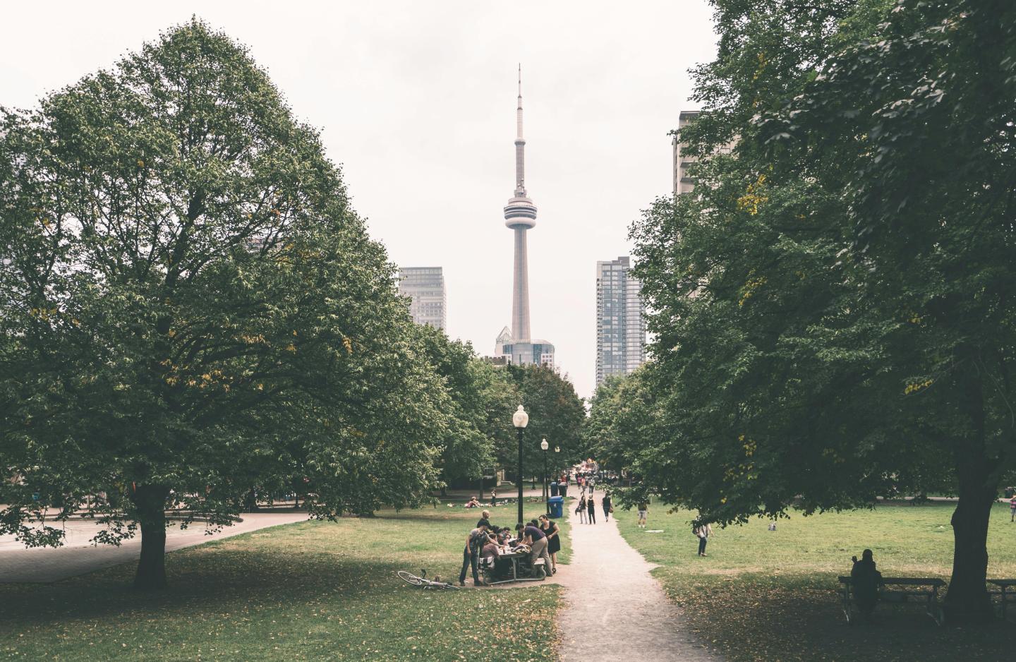 Image of the CN tower from a park in Toronto courtesy of Scott Webb through Pixabay
