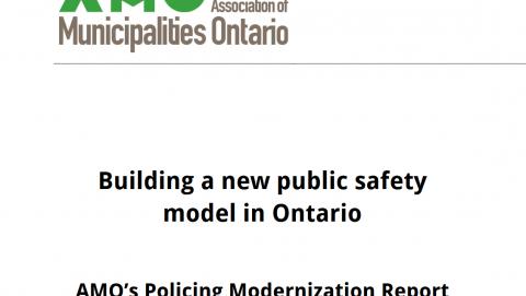 Image of policing modernization report