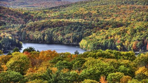 Algonquin Park Destination Ontario