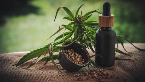 Cannabis and CBD oil from Pixabay