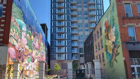 Image of downtown London thanks to volunteer staff photographer Snezana Vukelic! 