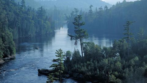 Picture of lake and forest 