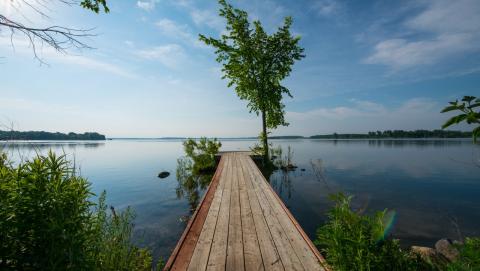 Image of a dock on Rice Lake in southeastern Ontario