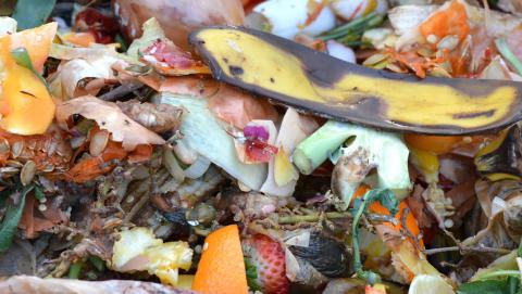  Waste Compost Image by Ben Kerckx from Pixabay