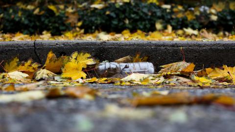 Image of water bottle by curb