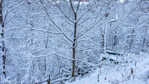 Image of a winter landscape in Hamilton, Ontario courtesy of Ahmed Abbas