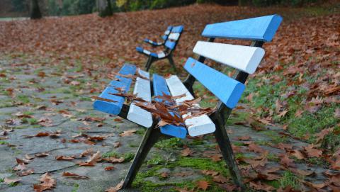 image of empty park bench