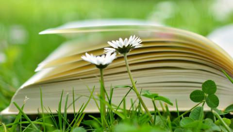 Image of book from Pixabay