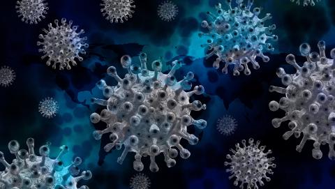 Image of COVID-19 virus from Pixabay