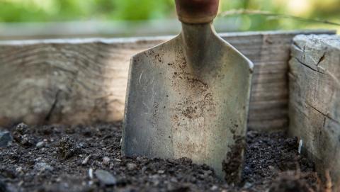 image of a shovel in the dirt