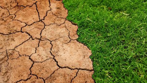 Image of dry land from Pixabay