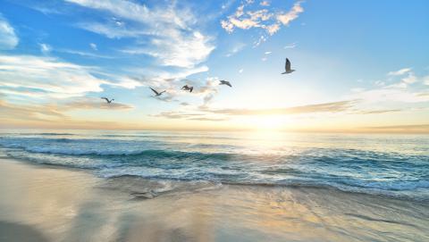 immage of Beach